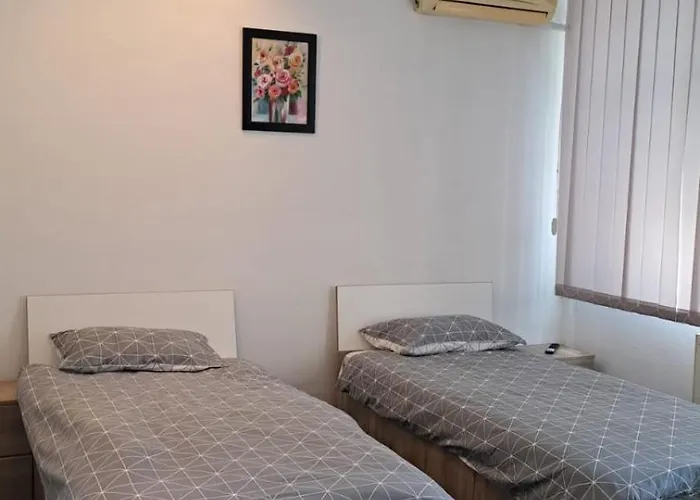 Sico Centru بيت شباب كرايوفا